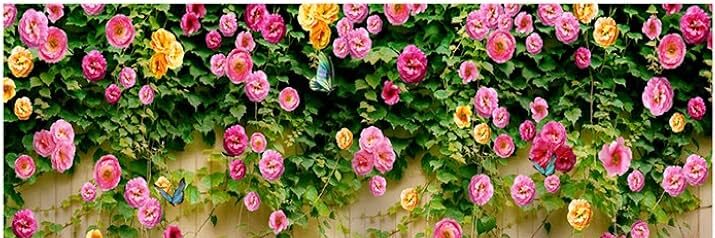 71NQ8HuXTmL._AC_UF1000,1000_QL80_